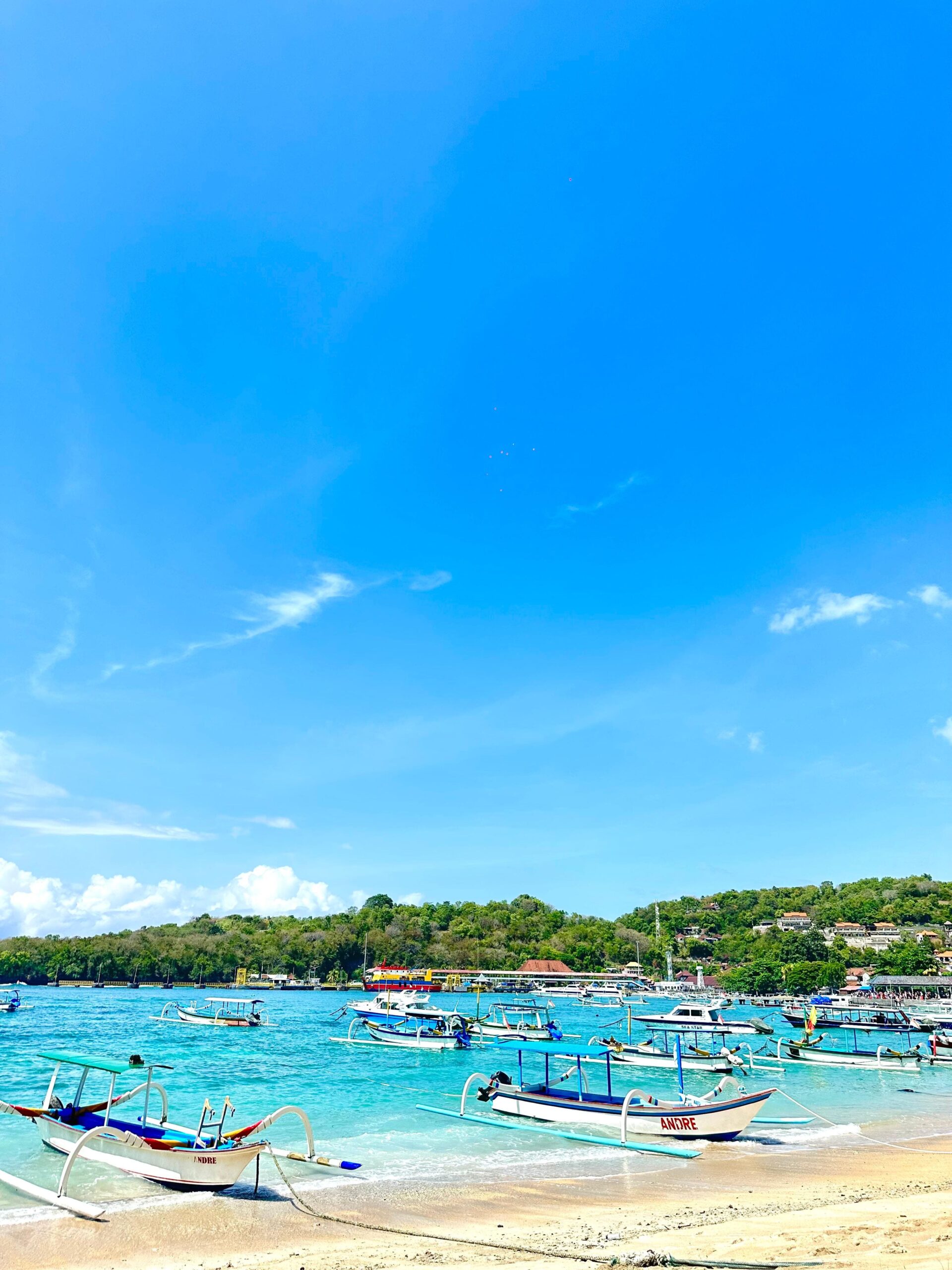 WhatsApp Image 2024-11-08 at 19.21.01