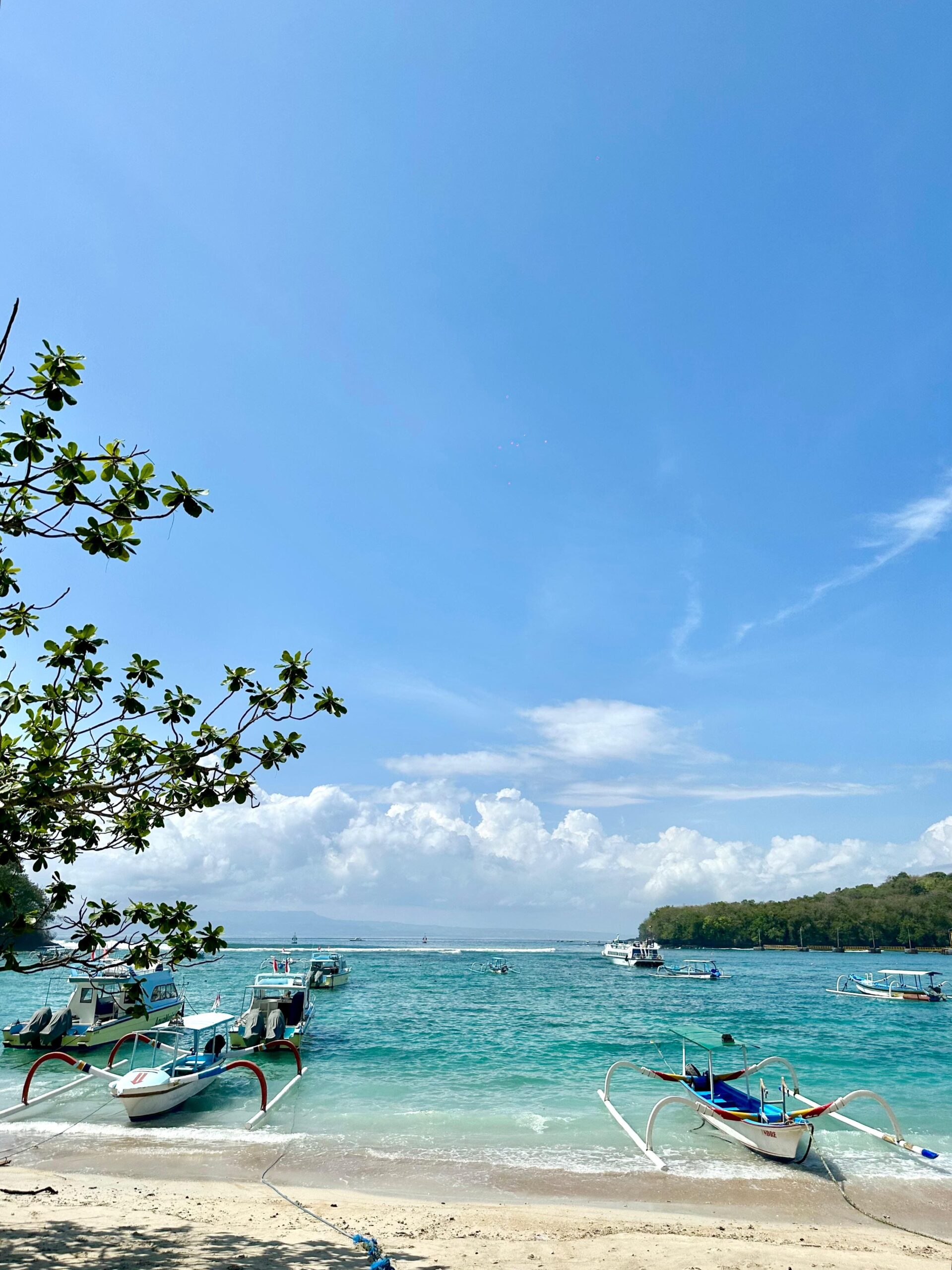 WhatsApp Image 2024-11-08 at 19.21.10